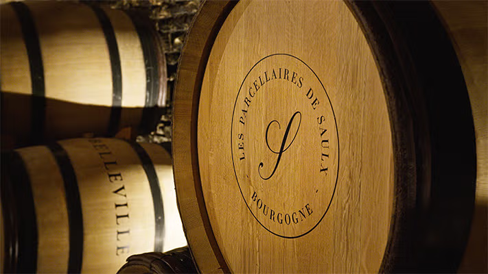 bourgogne-oenospheres-film-promotionnel-parcellaires-de-saulx.jpg